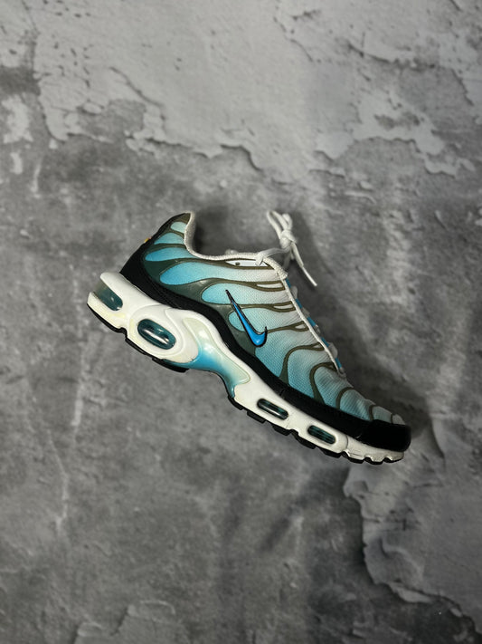 Nike Air Max Plus Baltic Blue