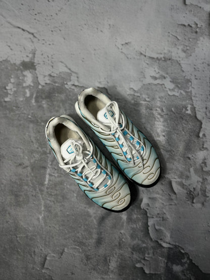 Nike Air Max Plus Baltic Blue